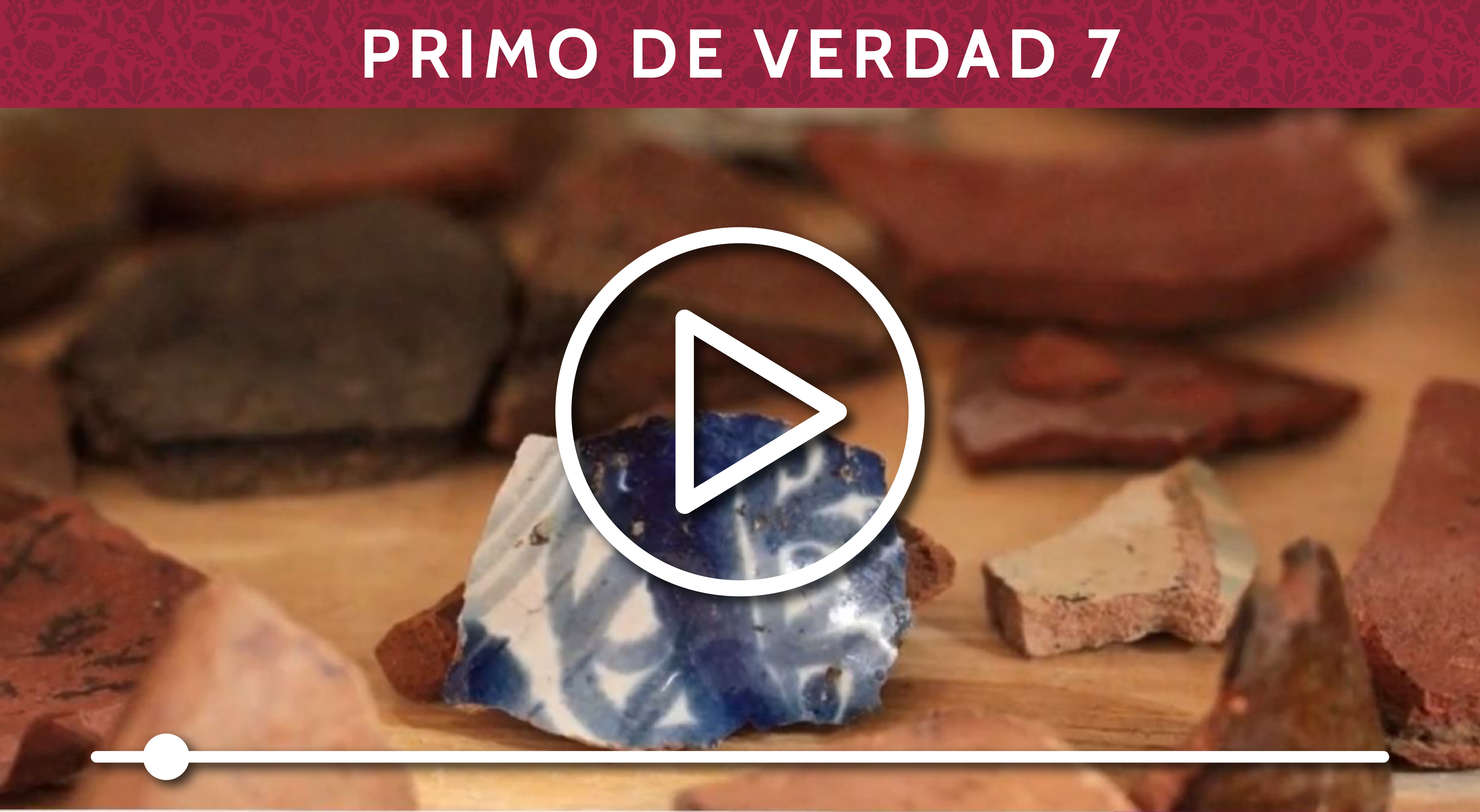 Vestigios arqueológicos Primo Verdad 7 Centro Histórico